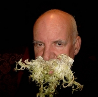 image_cochon.jpg