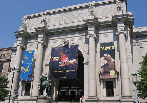 musee-d-histoire-naturelle-2.jpg